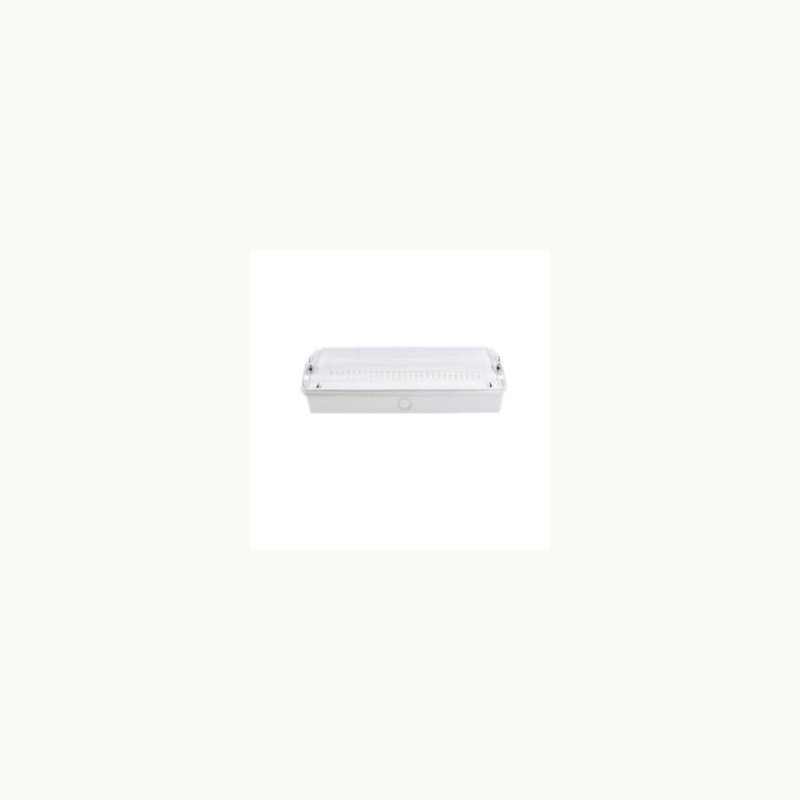 Emergency light